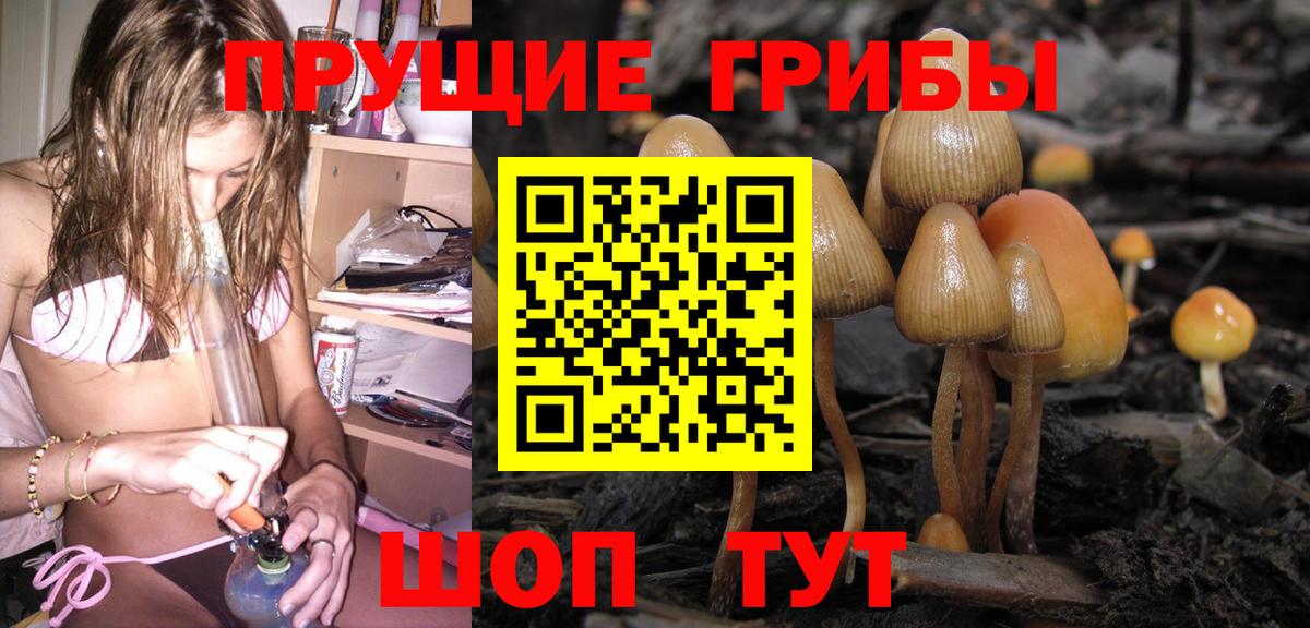 Красноярск  Псилоцибиновые грибы Cubensis  Псилоцибиновые грибы ЛСД  Вход с VPN 