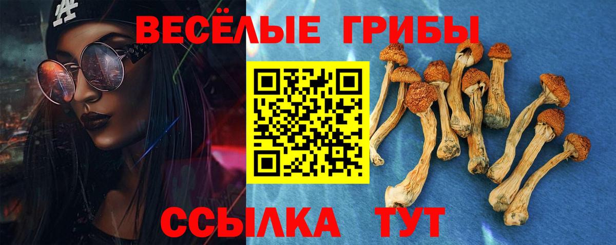 Галлюциногенные грибы MAGIC MUSHROOMS Красноярск